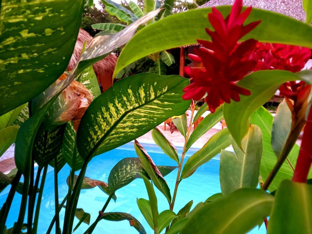 Cabanas Puesta Del Sol Las Penitas Ngoại thất bức ảnh